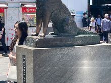 Here is a side view of Hachiko