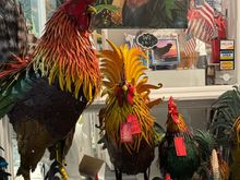 Roosters - synonymous with Key West 