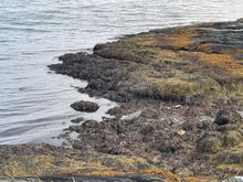 Djupvika 
