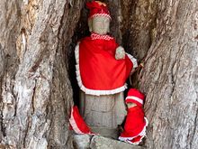 Kami, a spiritual figure placed in a knot in the tree