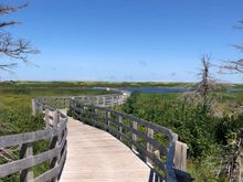 Greenwich Dunes boardwalk