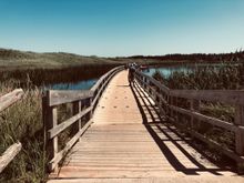 Floating boardwalk over a pond