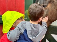 He’s up to 36 pounds but I can still carry him, for a while.