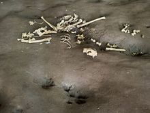 This wallaby got stuck in the tube somehow