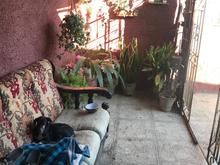 A couch for the dogs to sleep on and a garden of various potted plants within that same now covered side passageway. 