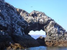 Gull Islands