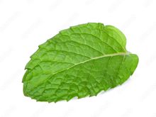 mint leaf