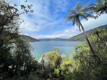 One of many views along the way. The scenery is different than Abel Tasman due to being in the sounds rather than on the ocean coast.