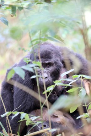 probably my favorite pic.