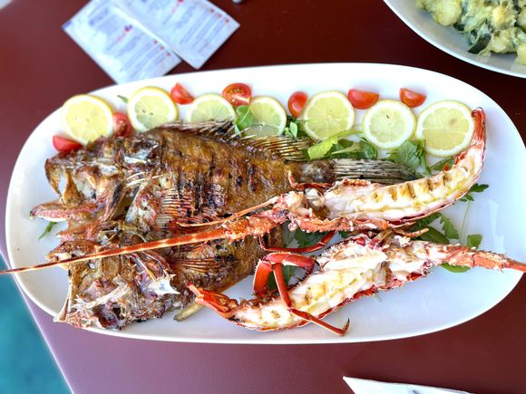 Fresh fish and lobster lunch!