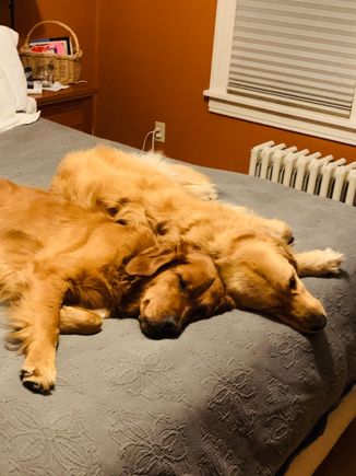 Bad Molly and Silly Lily.