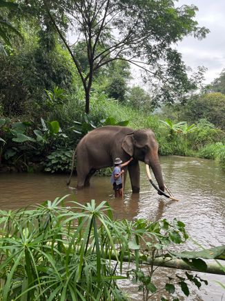 Time to get in the water