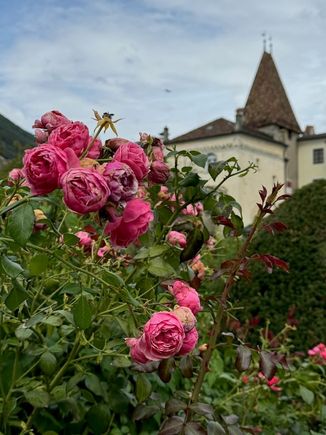 Hofgarten (Giardino di Corte) dates to 1570