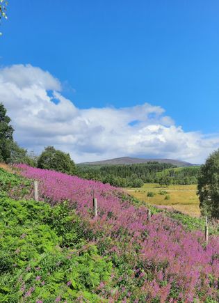 Highlands Wildlife Park