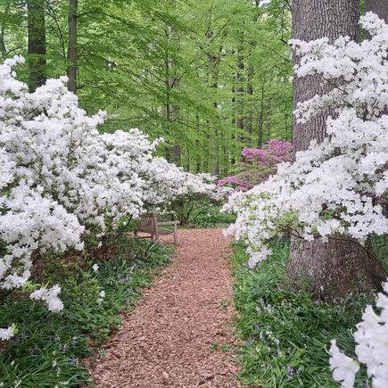Walking paths are marked with arrows to direct the visitor to the day’s not-to-be-missed spots