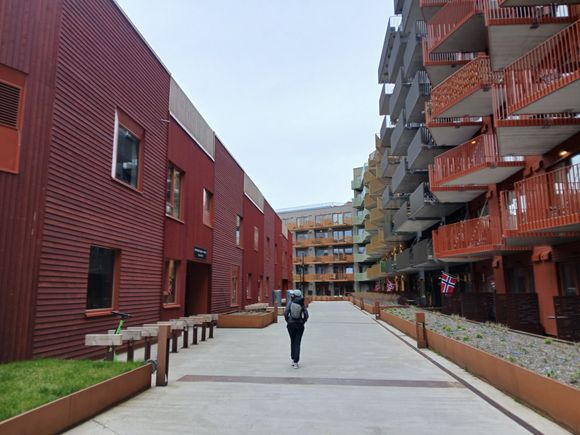 Walking through Vervet