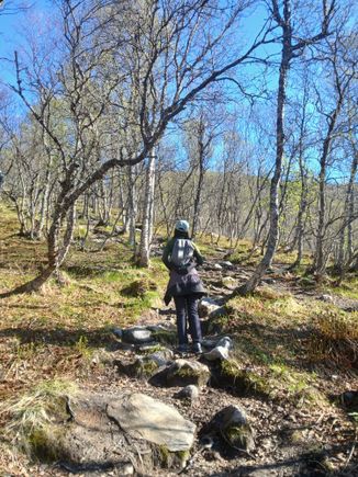 Up the rocky path