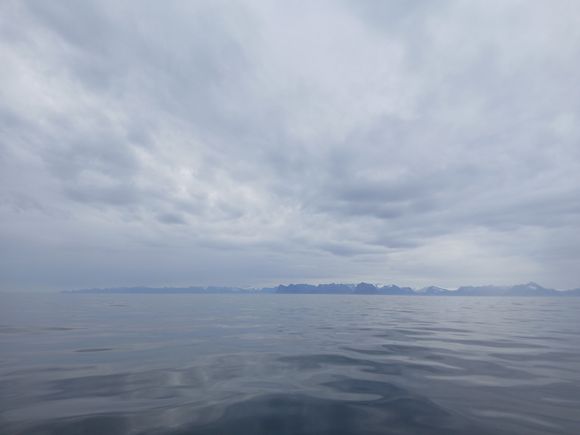 The waters were quite calm, ideal conditions for spotting whales