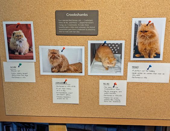 Some of the many animals used in the various films