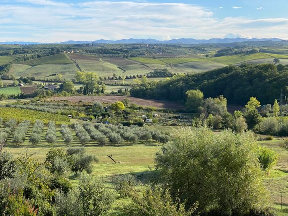 View of the Sienese countryside from our house on a non-rainy day. 