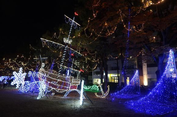 Evening Illuminations Along Peace Boulevard