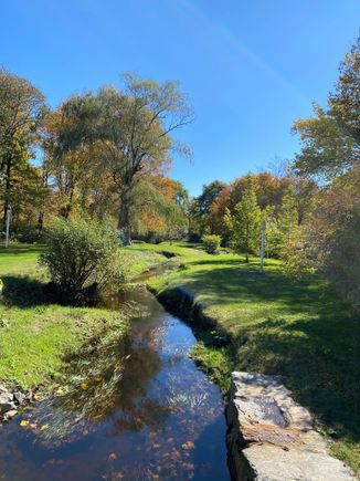 A pretty brook that reminded me of Ireland. 
