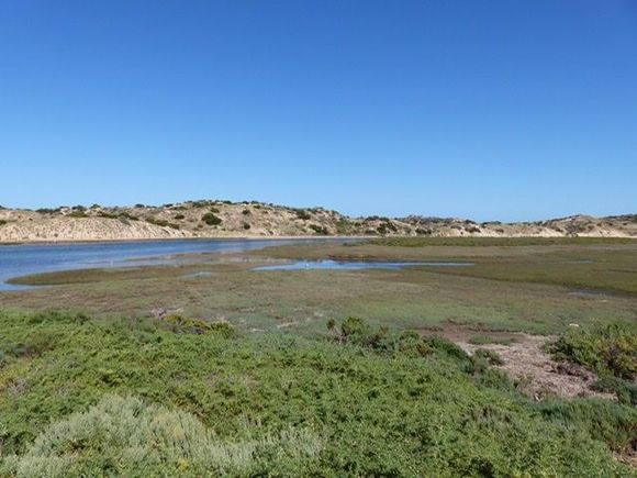 Sand dunes between estuary and sea
