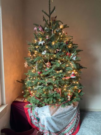 Percy- Here’s our tree. So far so good with the pups ignoring it
