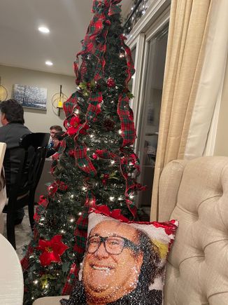 The famous Danny DeVito pillow. This picture does not do it justice. My daughter has a couple trees, but this one is a pop-up that takes 2 minutes to set up. In think I need one. 