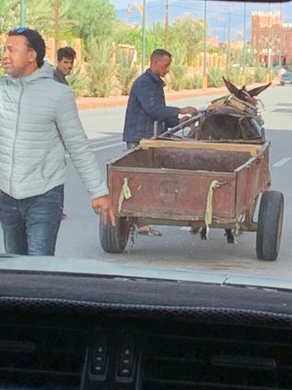 Took this quickly out of the truck window.  As we came around a corner the donkey was lying prostate on the ground and the owner trying to help it.  Schtookie hopped out to help get the animal upright. 