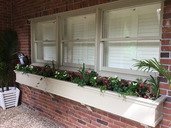 Long window box newly planted with ivy, begonia and freesia