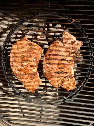 Turkey tenderloins