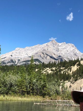 Mountain View’s everywhere 