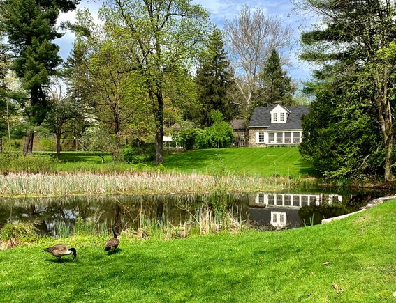 Val Kill in Hyde Park, Eleanor’s very modest home/cottage, about 4 miles FDR’s home. She loved that home where she found much solace.