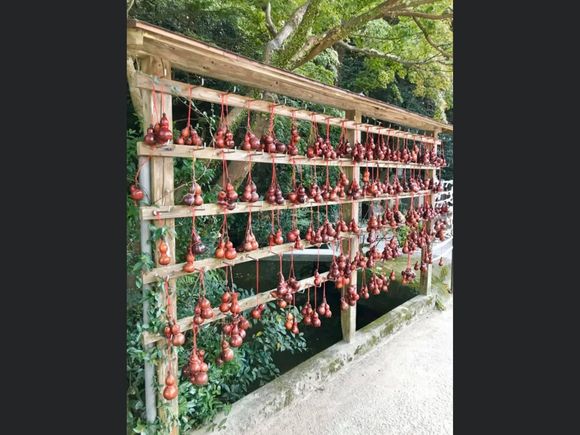 Gourds instead of emas 