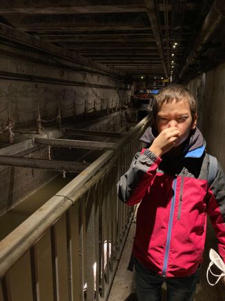 Standing next to the sewer