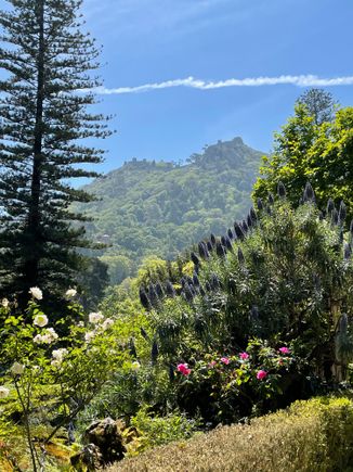 The view from near the Villa