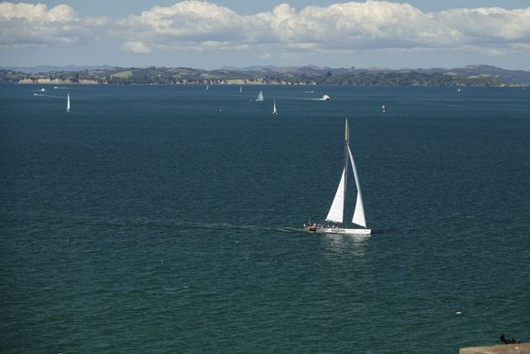 Lots of sailboats today. 