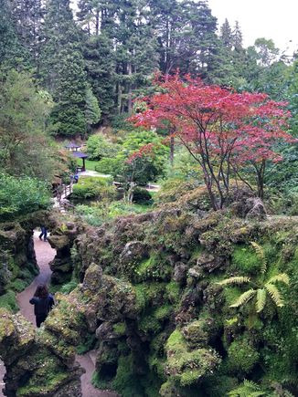 Powerscourt Gardens