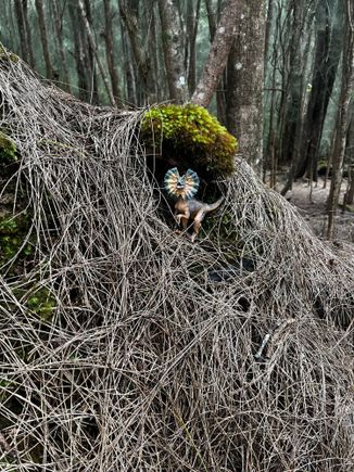 Trail to the fertility stone.