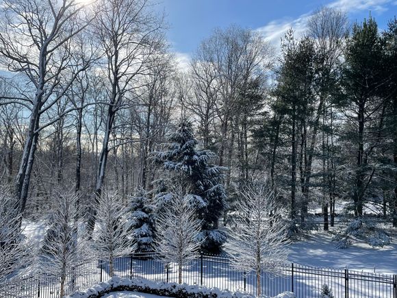 This is the view out my bedroom window. The sun comes up just beyond those trees and I love to have my morning coffee and enjoy this scene. 