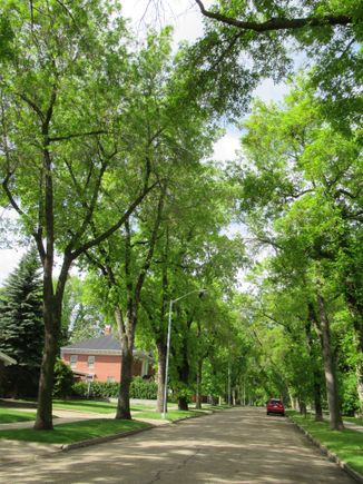 A  quaint street  ,a block  behind where Vi and I lived. The next street to  your left is the  River Valley  View Drive          