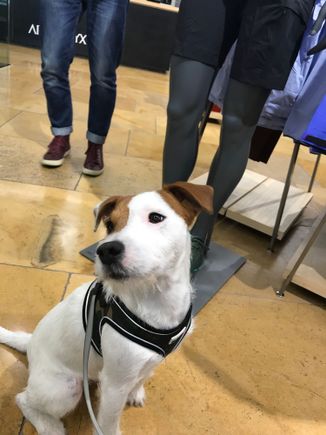 Murphy holding court at Arcterryx 