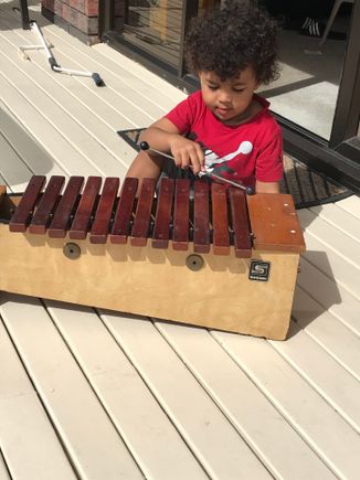 Xylophone time