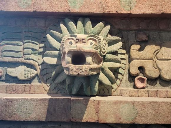 Museo Anthropologie