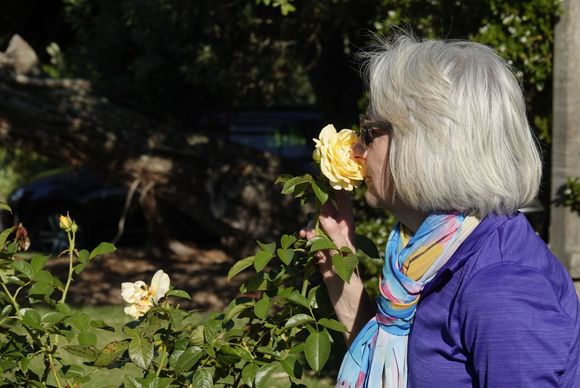  Got to stop and smell the roses every now and then. 