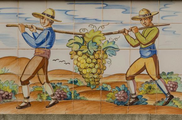 Spain has a long history of producing good wine. 