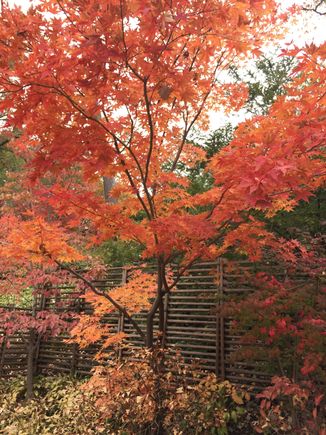 This is a test photo to see if I know how to post pictures.