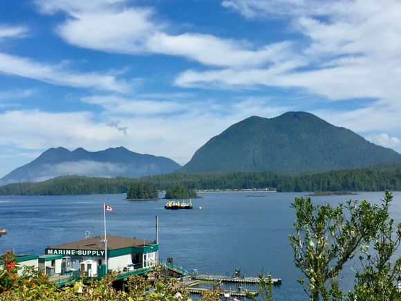 Tofino 