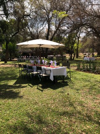 Inviting setting for meals